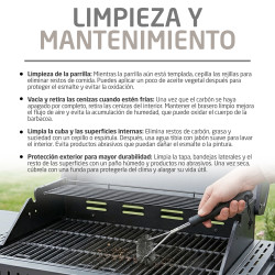 BARBACOA DE GAS AMIG IGNIS-6F ON(S)