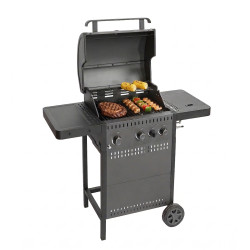 BARBACOA DE GAS AMIG IGNIS-3F ON(S)