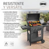 BARBACOA DE GAS AMIG IGNIS-4F ON(S)