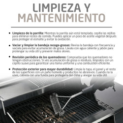 BARBACOA DE GAS GRILL 2-4F (S)
