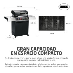 BARBACOA DE GAS GRILL 2-4F (S)