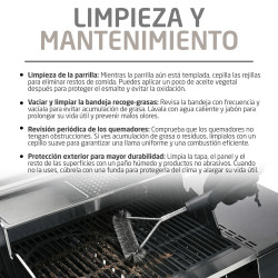 BARBACOA DE GAS GRILL 2-5F (S)